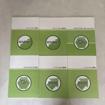 컴퓨터 스쿨 비바 베이직 스킬 어드밴스 엑셀