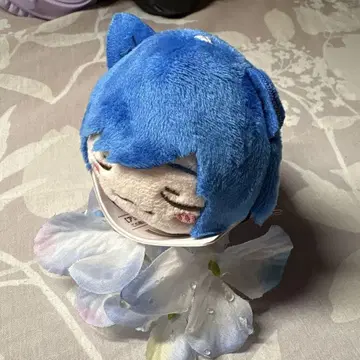 이레이스 if 낮잠