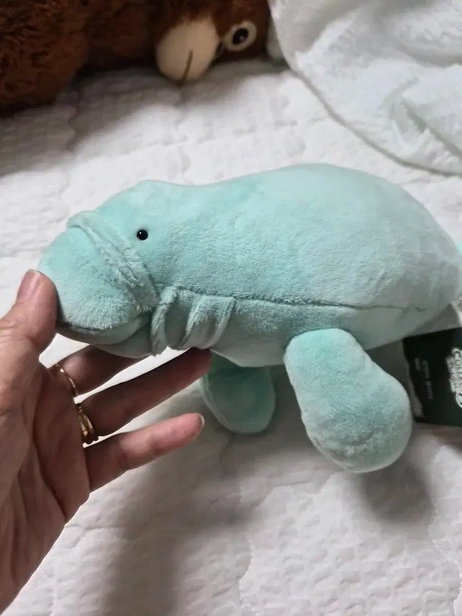 New product Aquarium doll Collecta plush baby manatee