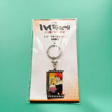 하이큐!! 아크릴 키링 히나타 쇼요