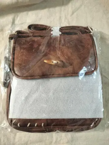 시마무라 치하루 디즈니 라푼젤 플린 라이더 백