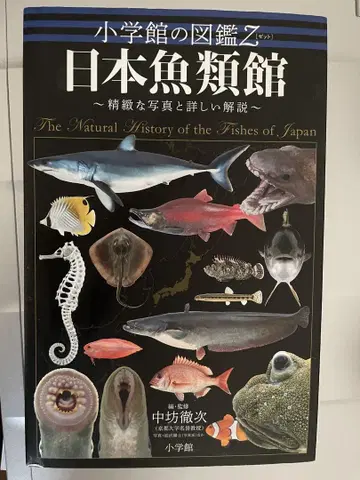 일본 어류관 정밀한 사진과 상세한 해설
