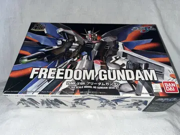 HG 1/144 ZGMF-X10A 프리덤 건담