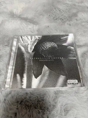 시미즈 쇼타 CD