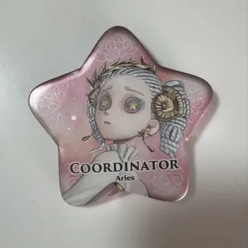 공군 캔뱃지 별 모양