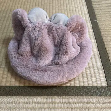 디즈니 셰리메이 모자