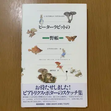 피터래빗 필드노트