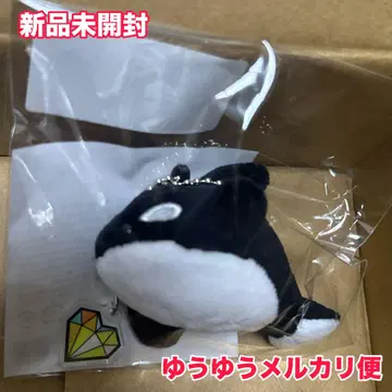 리벤지 스파이 샤치