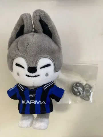 straykids 스키즈 KARMA 방찬 울프찬 SKZOO