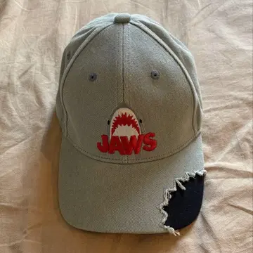 JAWS 캡 그레이