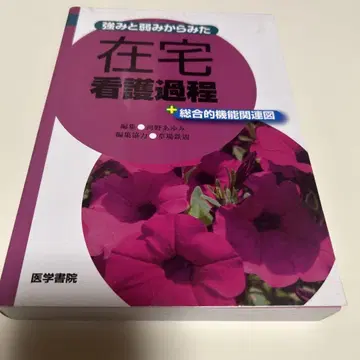강점과 약점에서 본 재택 간호 과정 +종합적 기능 관련도