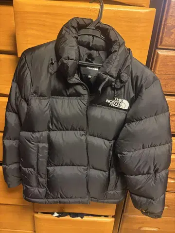 THE NORTH FACE 블랙 다운 자켓 L
