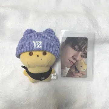 theboyz 큐 Q 봉제 인형 트레이딩 카드 공식