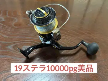 Shimano 19 StellaSW 1000 pg