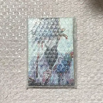 니지산지 쿠츠하 카레스코 캔버스