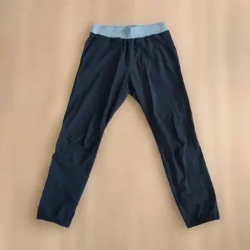 THE NORTH FACE 트레이닝 리브 팬츠