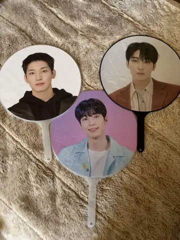원우 부채 묶음 판매