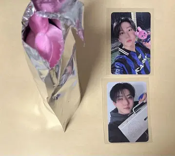 Stray Kids KARMA 팝업 SKZOO 키링 창빈