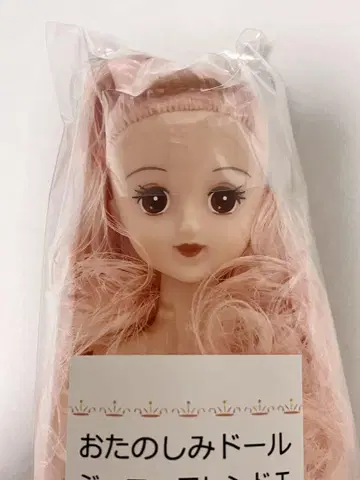 티모테 제니 프렌드 T 오타노시미 인형 리카짱 캐슬