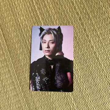 초특급 아로하 NINE LIVES 타워 레코드 트레이딩 카드