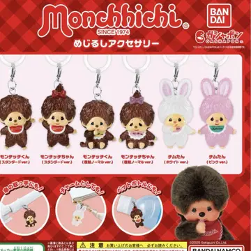 메지루시 액세서리 몽치치 컴프 컴플리트