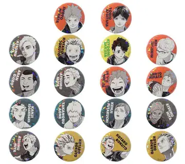 하이큐 올스타 캔뱃지 전 종류