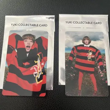 YUKI 콜렉터블 카드 FANTASISTA YUKINCORINISTA