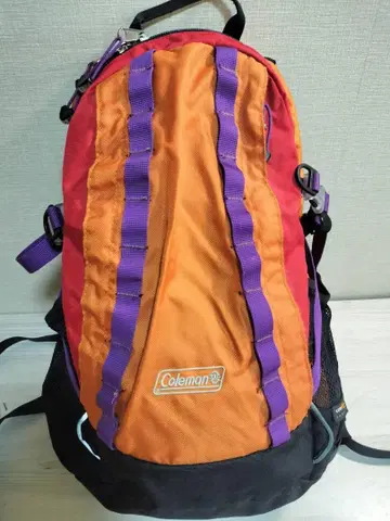 콜맨 백팩 20L 일일 하이킹