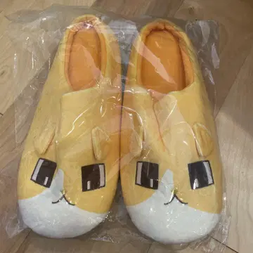 Eve 룸슈즈 관리인 고양이