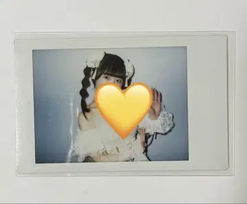 시마무라 우타 Zepp 란체키