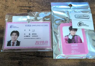 EBiDAN 뮤지엄 사원증풍 키링 참 초특급 하루