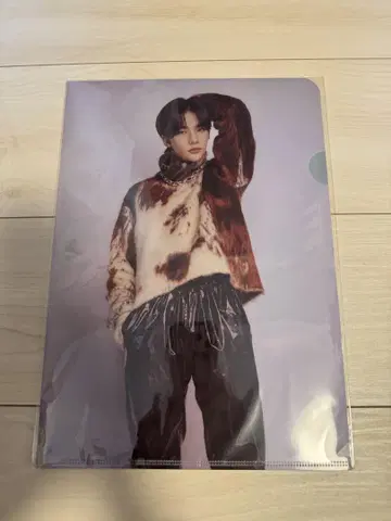 DFESTA StrayKids 현진 A4 클리어 파일