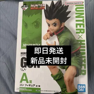 HUNTER x HUNTER 제일복권 A상 곤