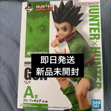 HUNTER x HUNTER 제일복권 A상 곤