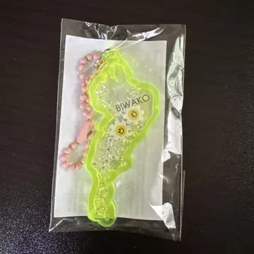 비와코 아크릴 키링