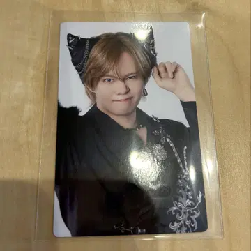 초특급 NINE LIVES 완전 생산 한정판 트레이딩 카드 카이