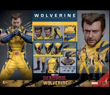 핫토이즈 HOTTOYS 울버린 보너스 액세서리 포함