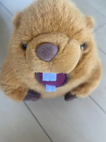 울부짖는 마모트 봉제 인형