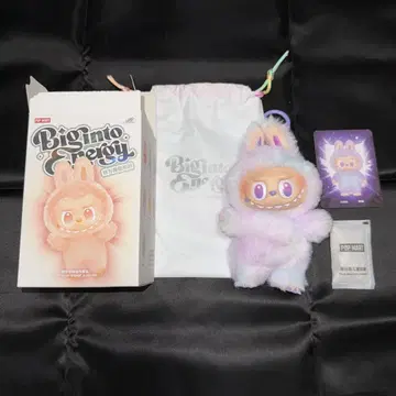 LABUBU 에너지 LUCK