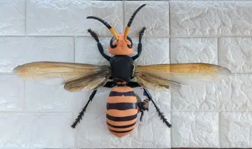 곤충 피규어 말벌