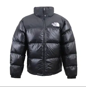 THE NORTH FACE 눕시 다운 볼