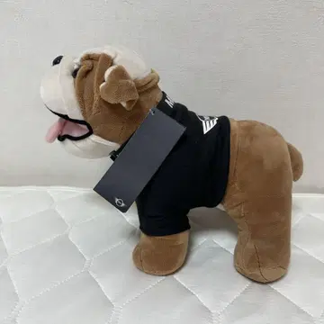 BMW 미니쿠퍼 MINI 봉제 인형 프렌치불도그 스파이크 군