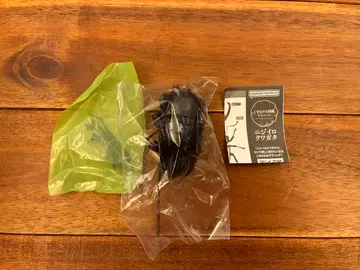 생물대도감 어드밴스 무지개사슴벌레 다크 블루