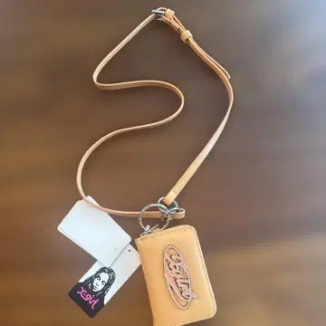 엑스걸 코인 케이스
