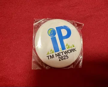 TM NETWORK IP 2025 캡슐 토이 캔뱃지