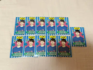 사쿠마 류토 프로필 카드 11장 세트