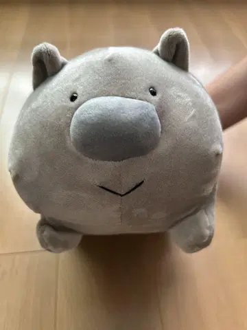 차우수야마 동물원 한정판 웜뱃 봉제 인형
