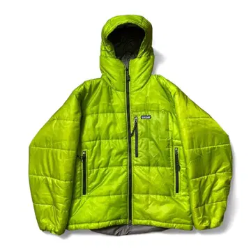 Patagonia 02년제 Das parka Gecko Green