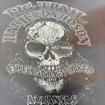 Harley-Davidson 티셔츠 스컬