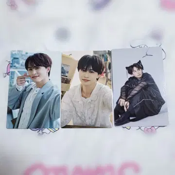 타쿠야 트레이딩 카드 세트